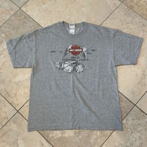 Vintage Harley Davidson Shirt Mens L Grey Capistrano Bugs Hanes Beefy Tee USA
